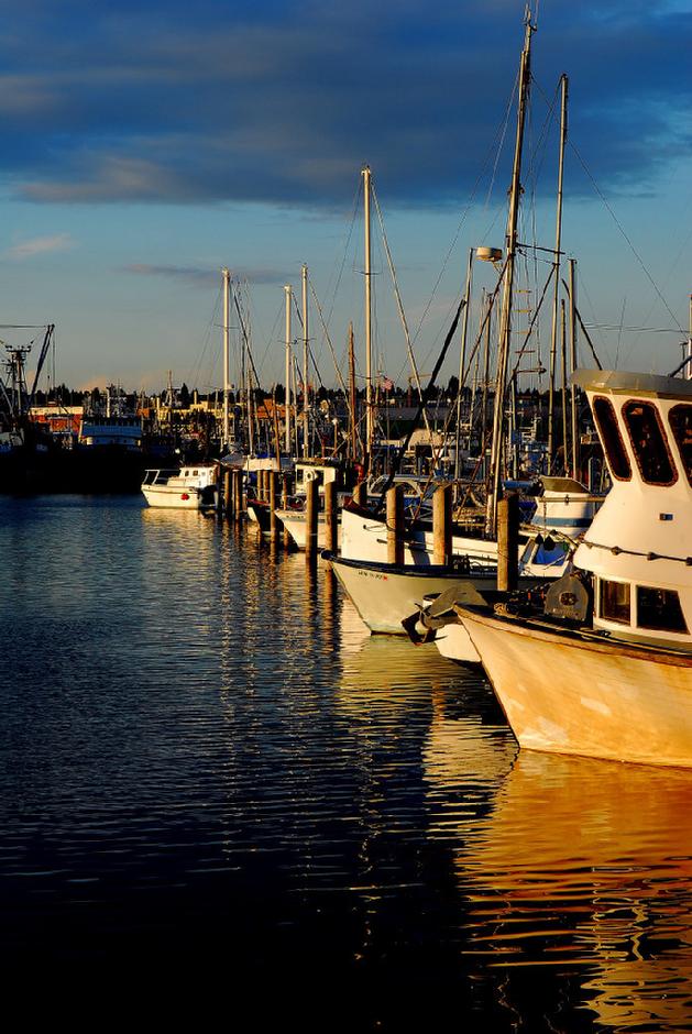 Seattle Fisherman's Terminal