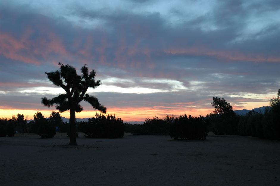 Hesperia, CA